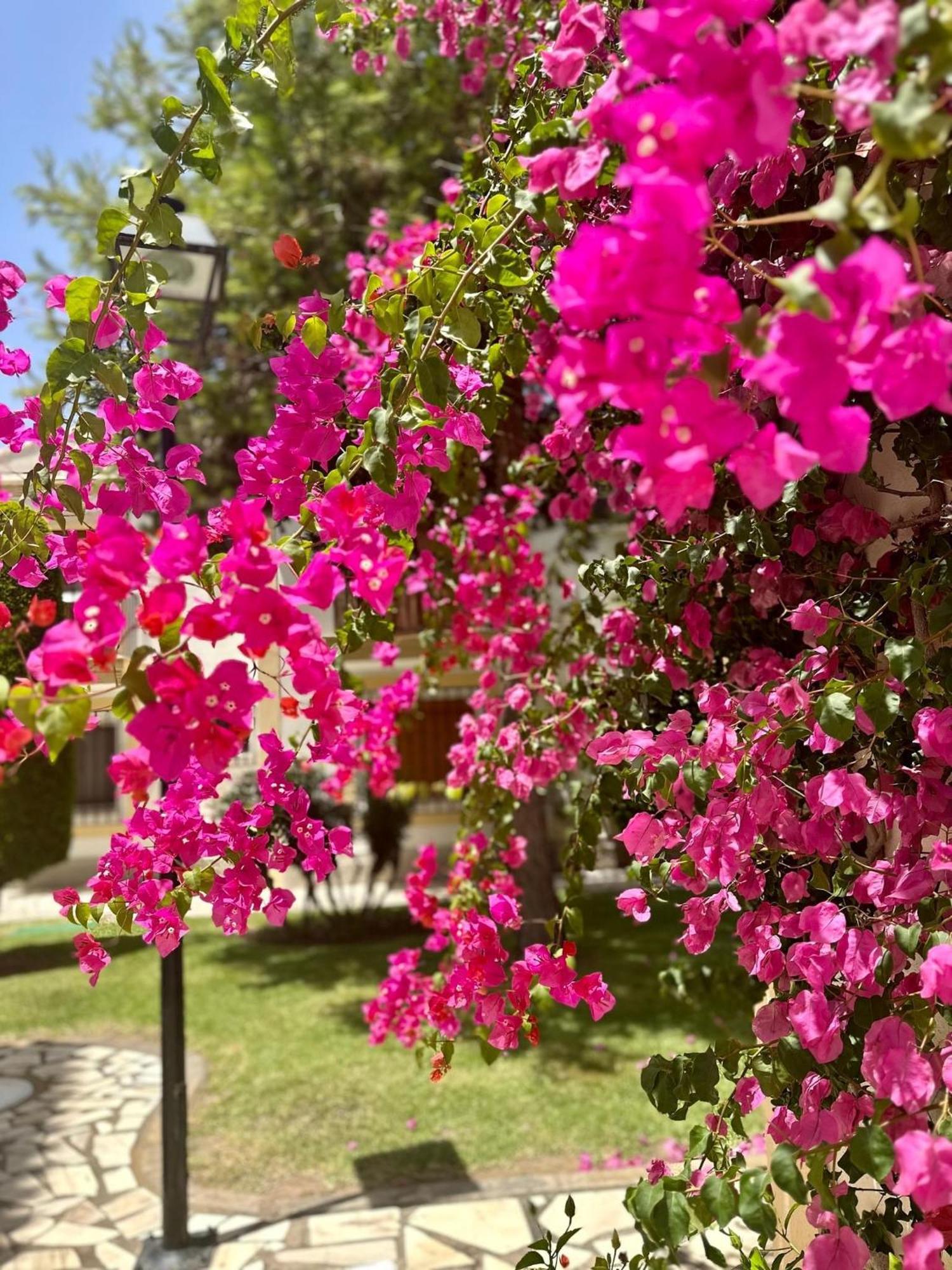 Casa Veranera Vera Costa Playas de Vera Dış mekan fotoğraf