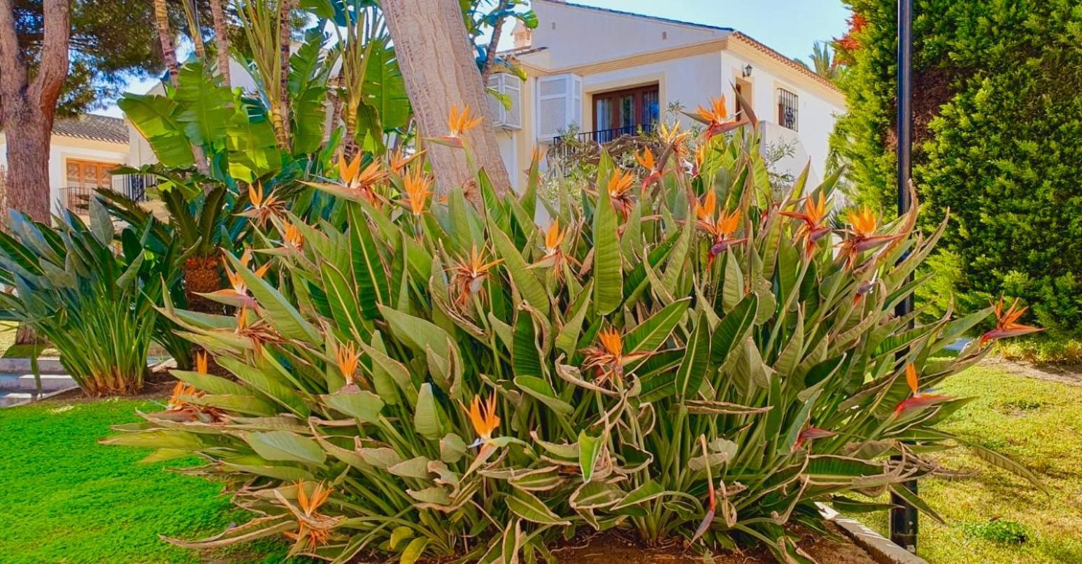 Casa Veranera Vera Costa Playas de Vera Dış mekan fotoğraf