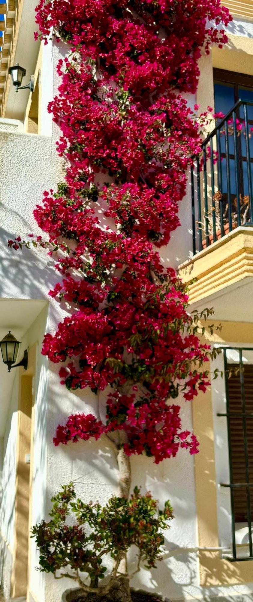 Casa Veranera Vera Costa Playas de Vera Dış mekan fotoğraf