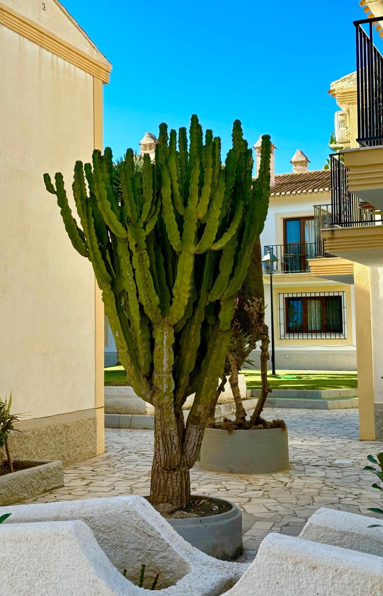 Casa Veranera Vera Costa Playas de Vera Dış mekan fotoğraf