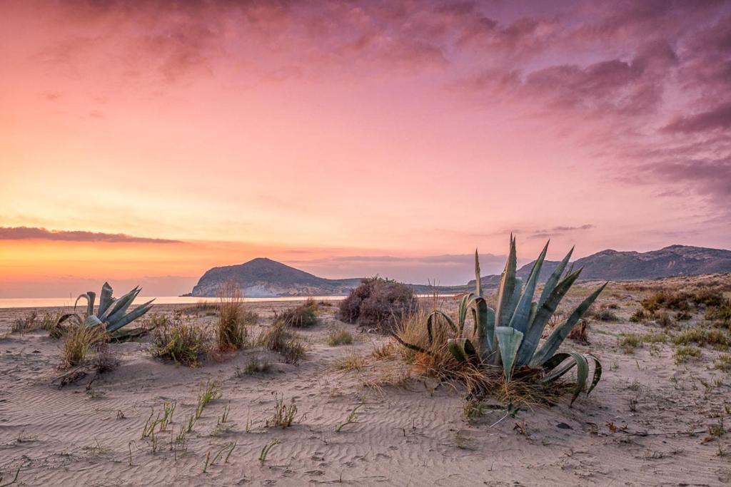 Casa Veranera Vera Costa Playas de Vera Dış mekan fotoğraf